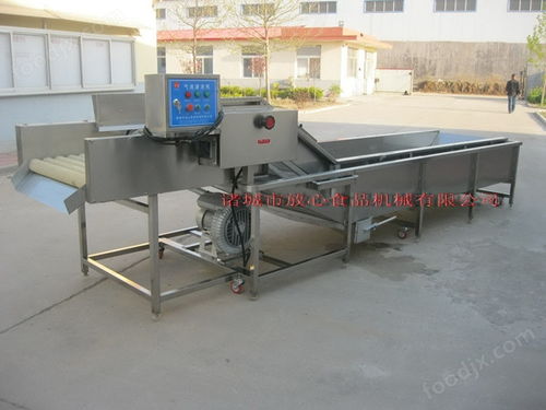 諸城放心機(jī)械大姜清洗機(jī)洗的干凈效果好